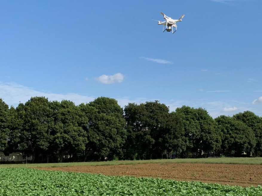 Laboratory of Field Phenomics